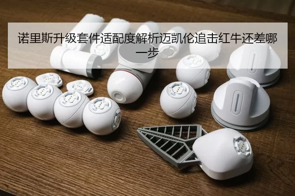 诺里斯升级套件适配度解析迈凯伦追击红牛还差哪一步