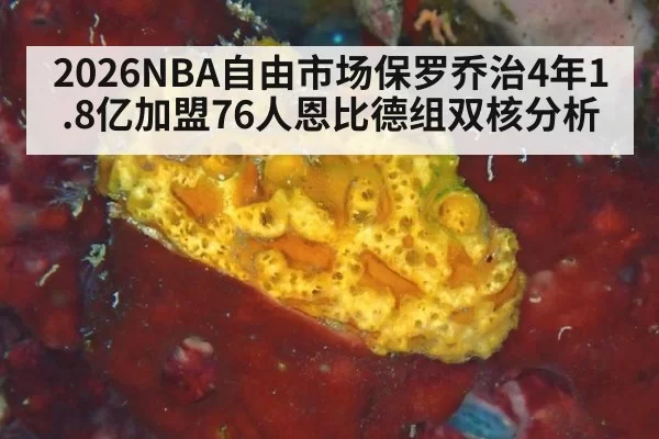 2026NBA自由市场保罗乔治4年1.8亿加盟76人恩比德组双核分析