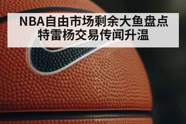 NBA自由市场剩余大鱼盘点 特雷杨交易传闻升温