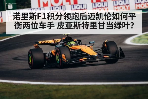 McLaren F1 team driver