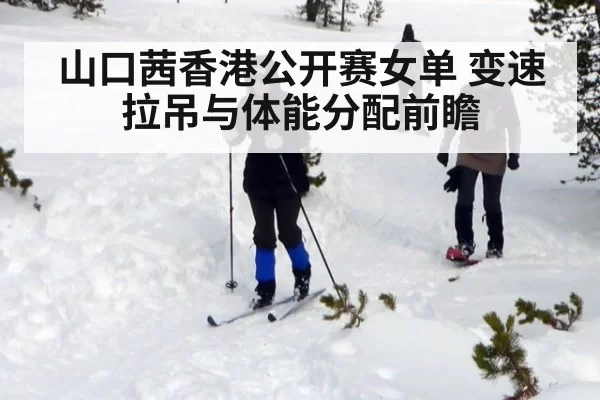 山口茜香港公开赛女单 变速拉吊与体能分配前瞻